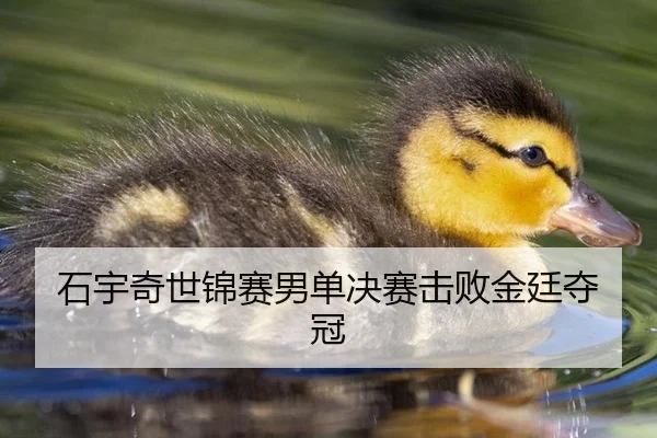 石宇奇世锦赛男单决赛击败金廷夺冠